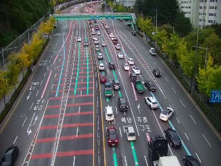 白楊隧道毛羅方向