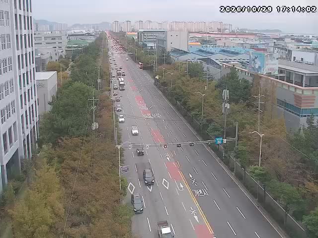 6號號誌燈交叉路口鳴旨新都市