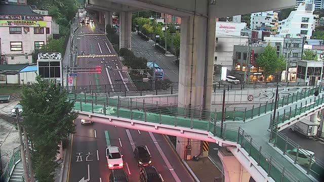 新毛羅十字路口白楊大路