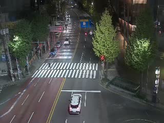 西大新十字路口西大新站