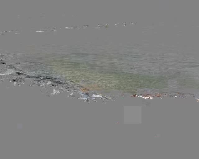 淡水河堤岸旁-2