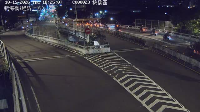 板橋區新海橋(堤防上方)