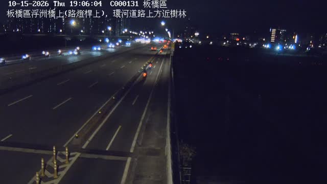 板橋區浮洲橋上(路燈桿上)，環河道路上方近樹林