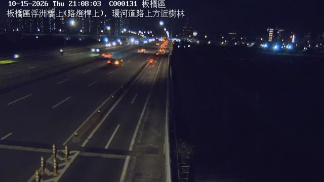 板橋區浮洲橋上(路燈桿上)，環河道路上方近樹林