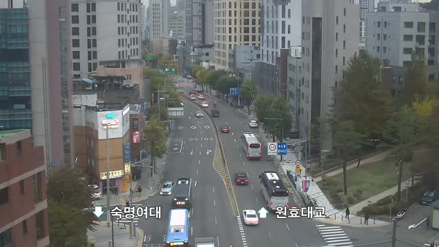 龍山保健所