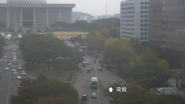汝矣島公園