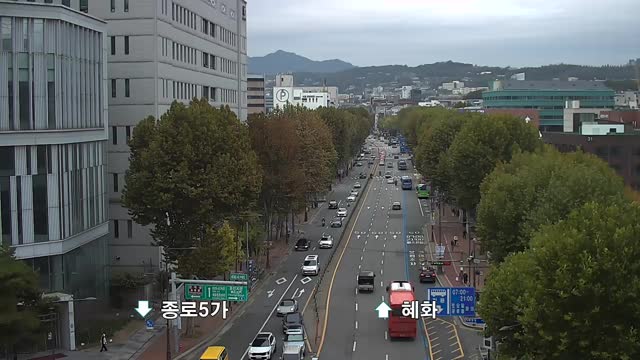 梨花