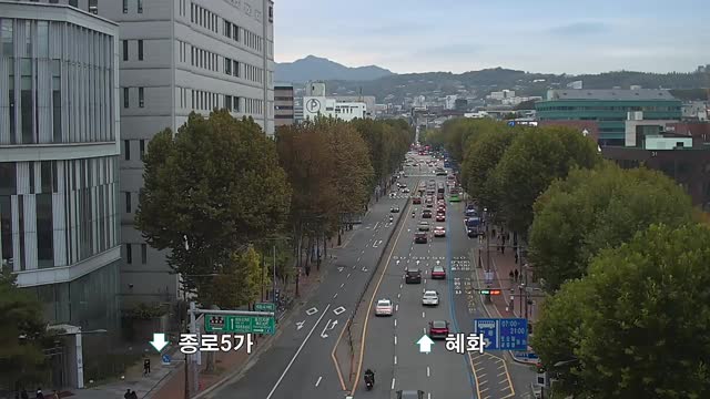 梨花