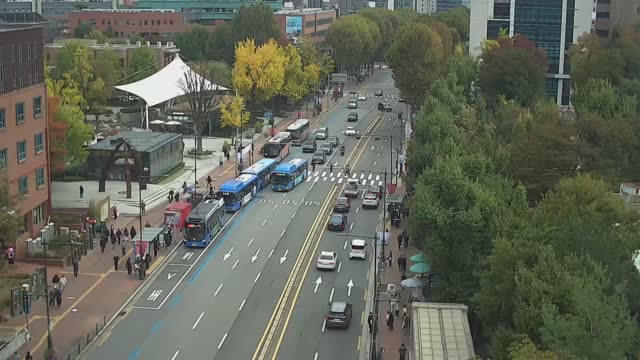 大學路