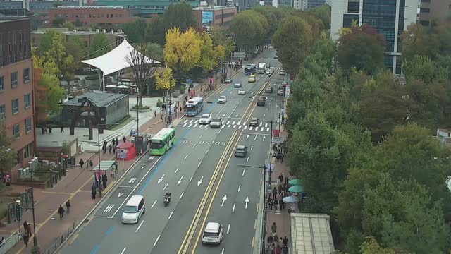 大學路