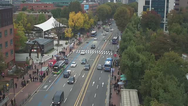 大學路