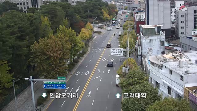 高麗大學正門