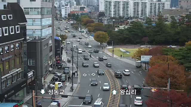 漢陽大學