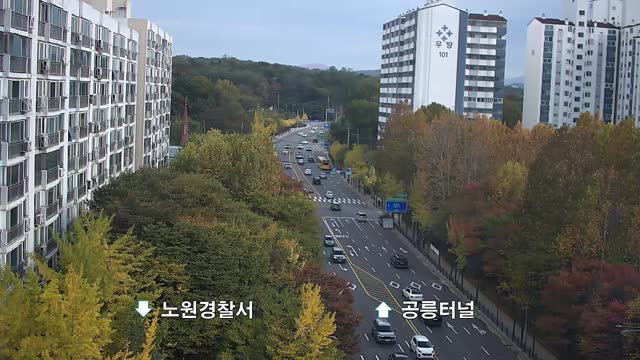 大真高等學校