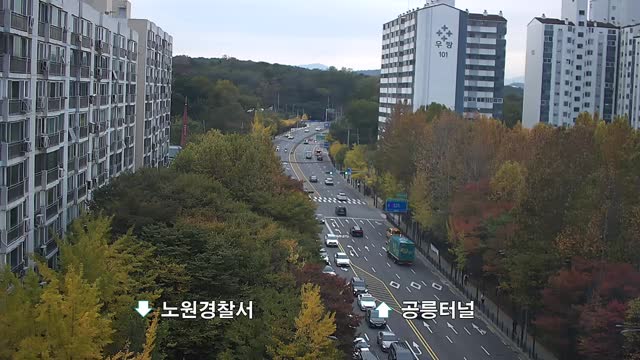 大真高等學校