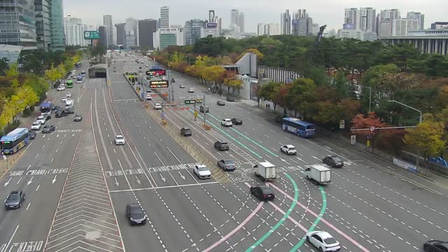 汝矣島公園(汝矣大路)