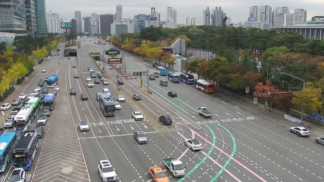 汝矣島公園(汝矣大路)