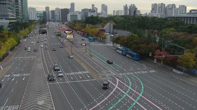 汝矣島公園(汝矣大路)