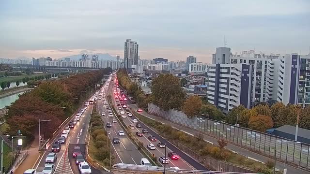 梧琴橋