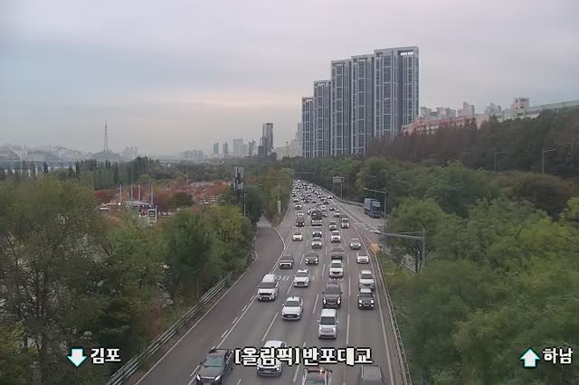 盤浦-漢南大橋1