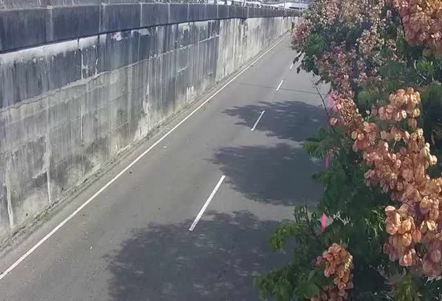 環中路/中央公園北側停車場(車流往中清路)Huanzhong Rd/Central Park North Parking Lot.(Traffic flow to Zhongqing Rd)