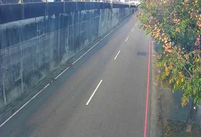 環中路/中央公園北側停車場(車流往中清路)Huanzhong Rd/Central Park North Parking Lot.(Traffic flow to Zhongqing Rd)