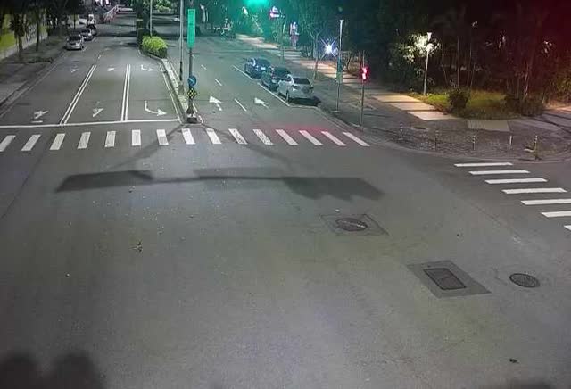 敦化路/仁平路(右側車流往經貿路)Dunhua Rd./Renping Rd. (Right side Traffic flow to Jingmao Rd.)