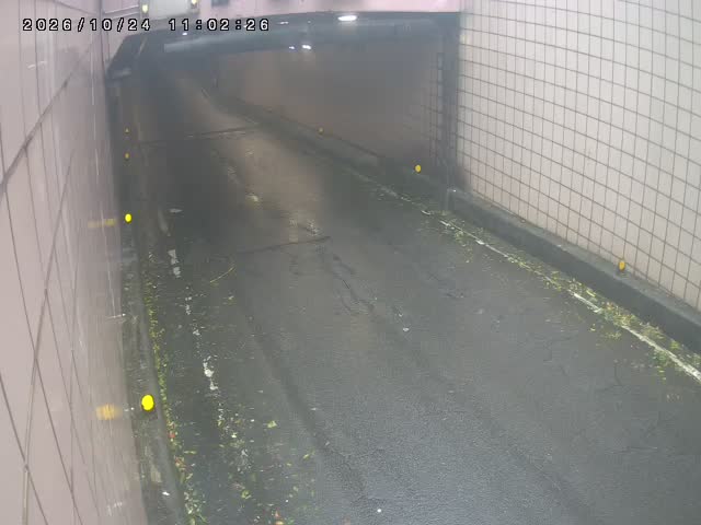 193-基隆路北往南混合車道1(基隆松高)