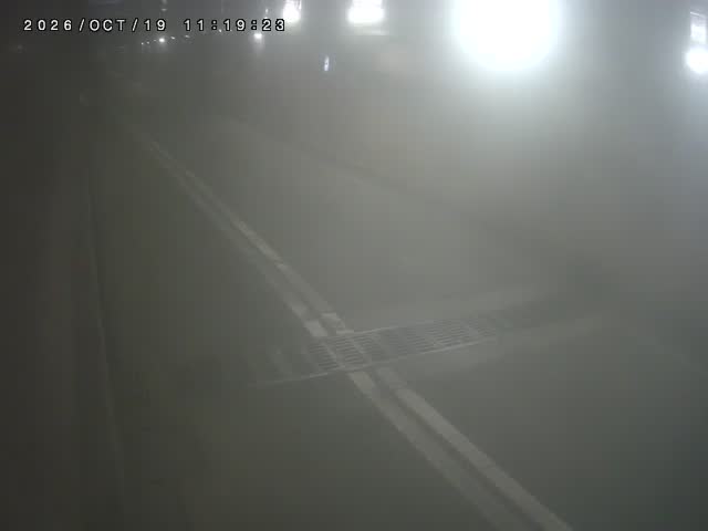200-基隆路南往北混合車道4(基隆忠孝)