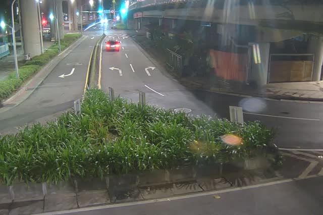 219-環東大道經貿二路出口匝道綠帶