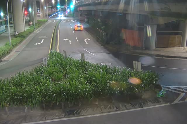 219-環東大道經貿二路出口匝道綠帶