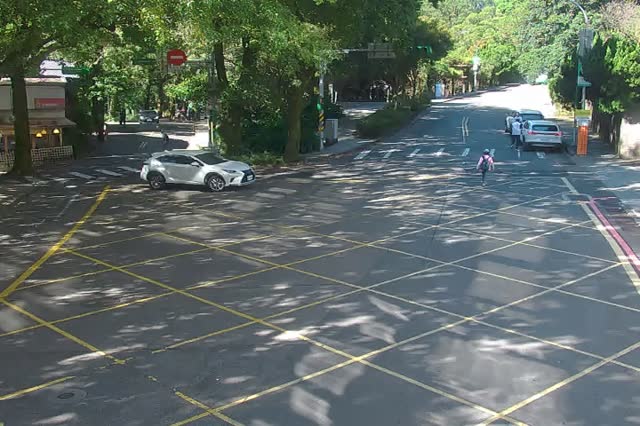 413-湖山路-陽金公路