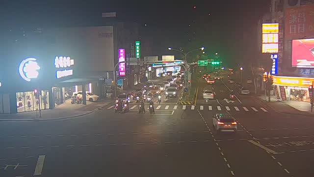 環南路延平路口(延平北向路口前分隔島號誌桿)
